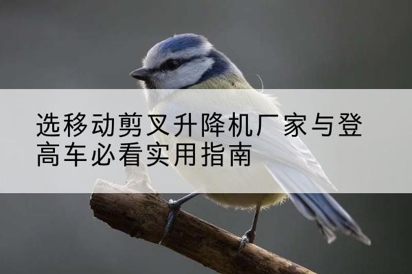 平山电动升降机厂家-选移动剪叉升降机厂家与登高车必看实用指南