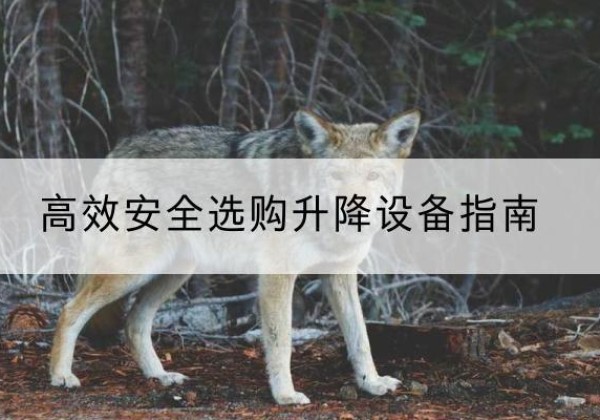 平山升降货梯厂家推荐-*安全选购升降设备指南